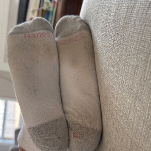 Hanes woman’s  Gray and White Casual Socks